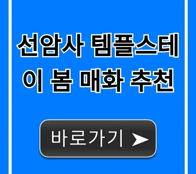 선암사 템플스테이 봄 매화 추천, 힐링 여행 완벽 가이드