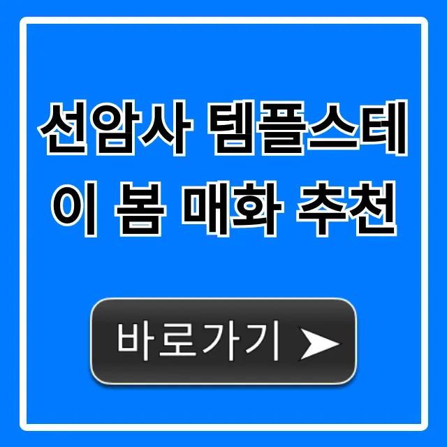 선암사 템플스테이 봄 매화 추천, 힐링 여행 완벽 가이드 선암사 템플스테이 봄 매화 추천, 힐링 여행 완벽 가이드