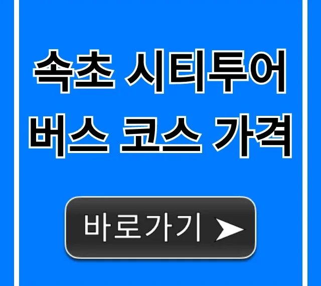 속초 시티투어버스 코스 가격, 시간표 총정리