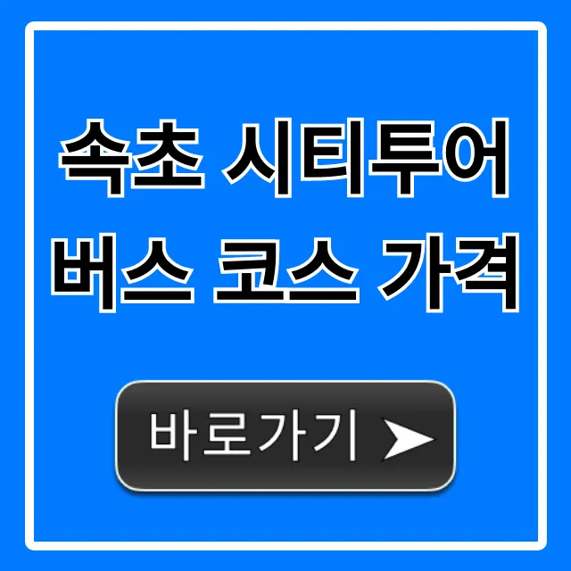 속초 시티투어버스 코스 가격, 시간표 총정리