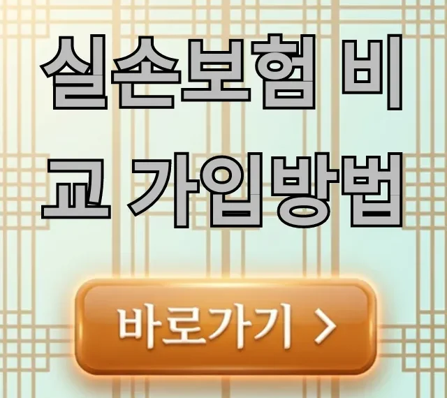 실손보험 비교 가입방법, 보험료 절약 완벽 가이드 실손보험 비교 가입방법, 보험료 절약 완벽 가이드