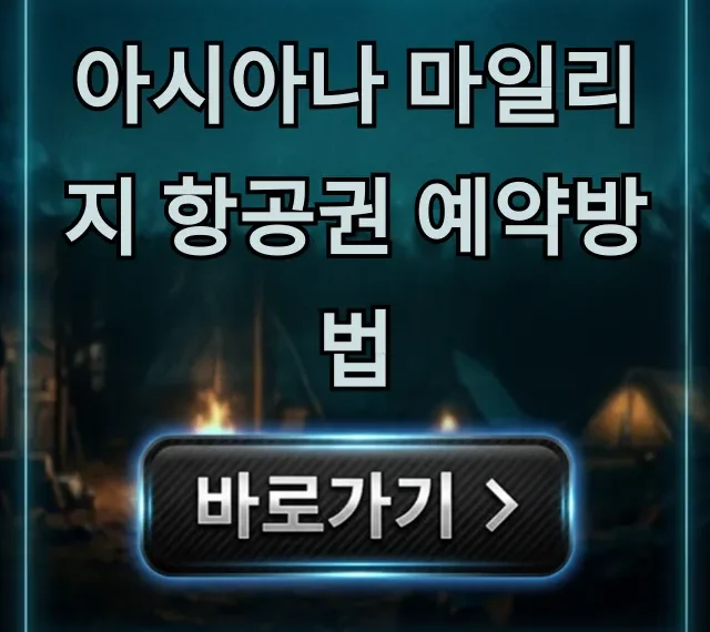 아시아나 마일리지 항공권 예약방법 좌석 조회 꿀팁