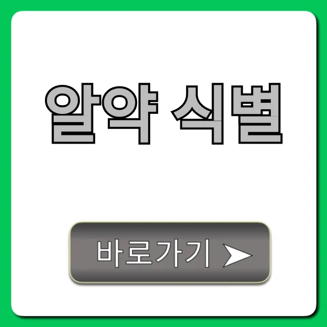 알약 식별 완벽 가이드: 약 정보 조회 꿀팁 알약 식별 완벽 가이드: 약 정보 조회 꿀팁