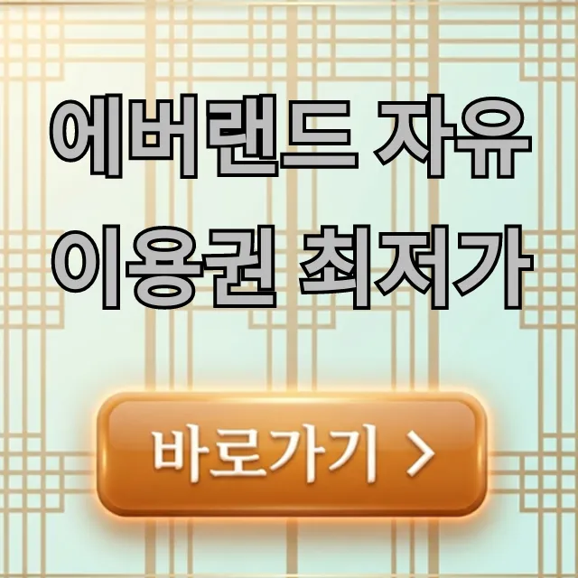 에버랜드 자유이용권 최저가 예매 꿀팁 총정리 에버랜드 자유이용권 최저가 예매 꿀팁 총정리