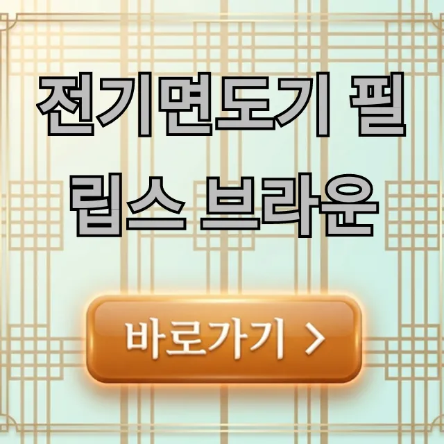 전기면도기 필립스 브라운 비교 추천 총정리 전기면도기 필립스 브라운 비교 추천 총정리