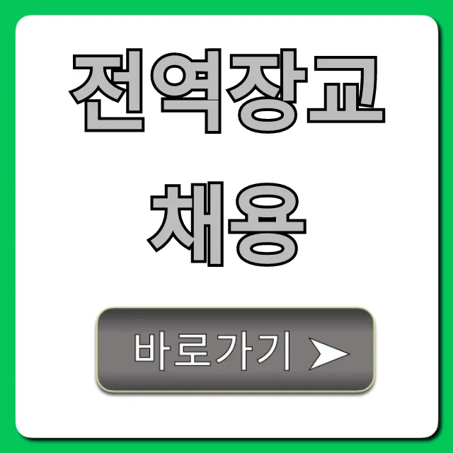 전역장교채용 꿀팁! 대기업 합격 전략 총정리
