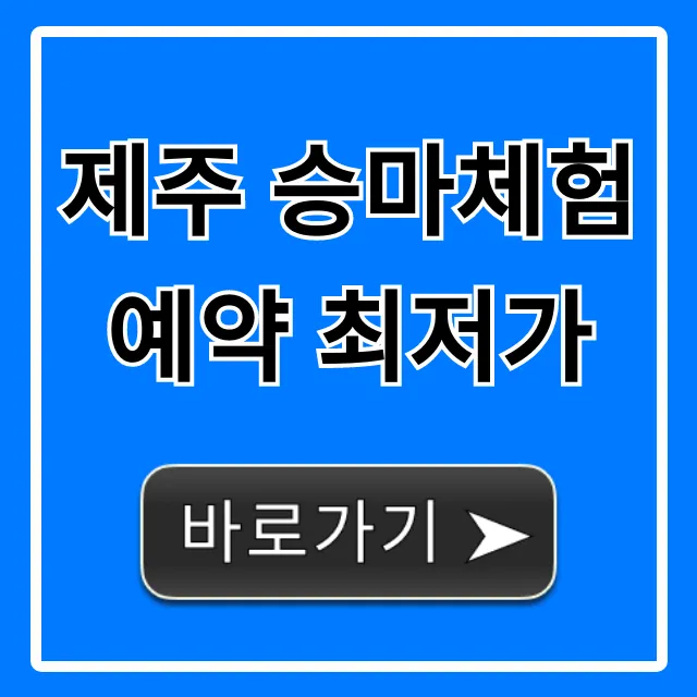 제주 승마체험 예약 최저가, 1분 할인받는 꿀팁 제주 승마체험 예약 최저가, 1분 할인받는 꿀팁