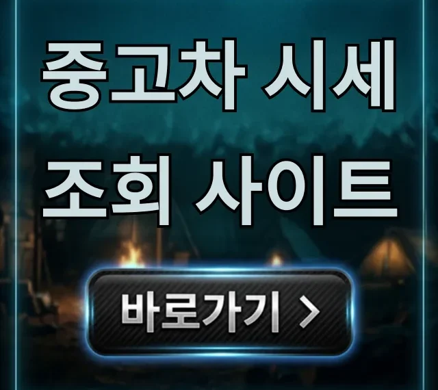 중고차 시세 조회 사이트, 내차 가격 최고가 받는 법 총정리