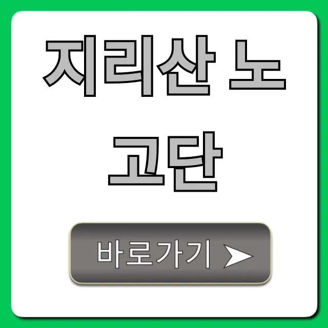 지리산 노고단 등산코스, 일출 명소 완벽 가이드 지리산 노고단 등산코스, 일출 명소 완벽 가이드