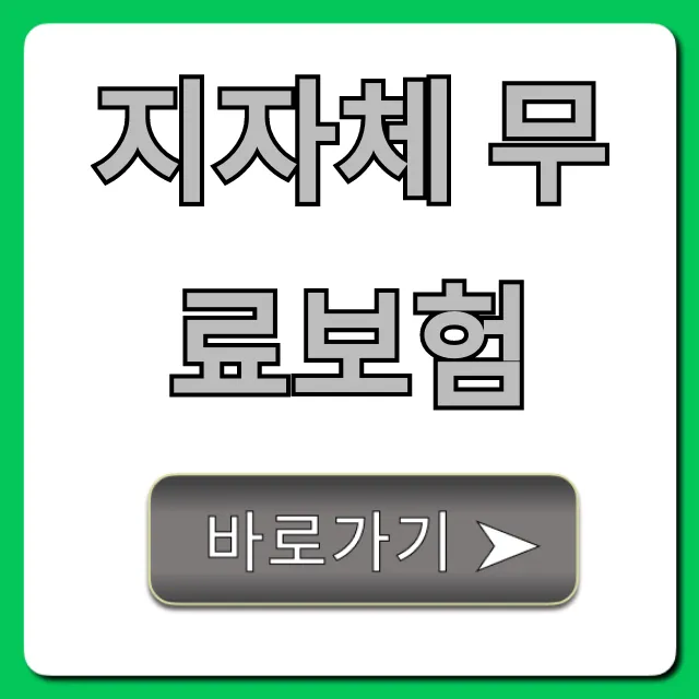 지자체 무료보험 총정리: 숨은 혜택과 신청 방법