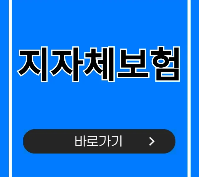 지자체보험, 나도 모르는 내 혜택? 조회부터 신청까지 총정리 지자체보험, 나도 모르는 내 혜택? 조회부터 신청까지 총정리
