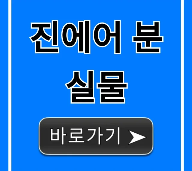 진에어 분실물 찾는법: 조회부터 수령까지 총정리