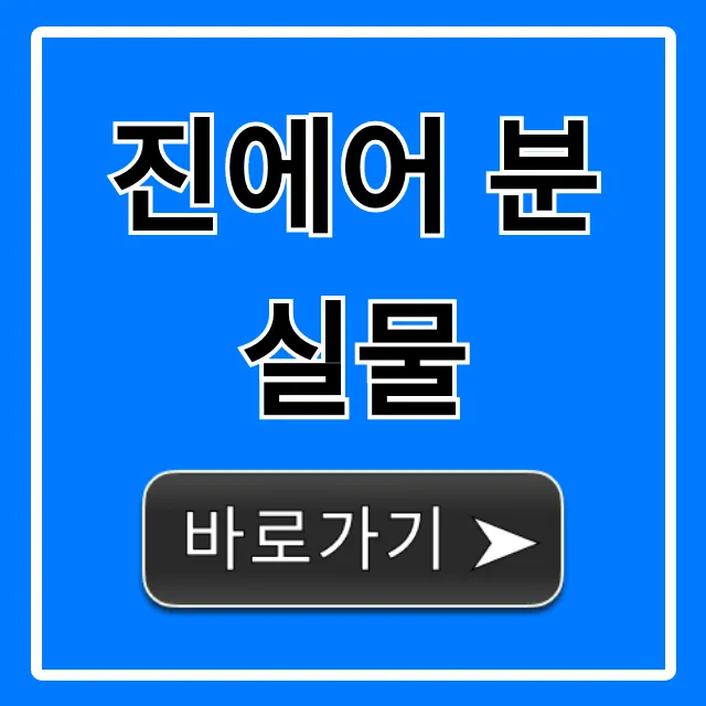 진에어 분실물 찾는법: 조회부터 수령까지 총정리 진에어 분실물 찾는법: 조회부터 수령까지 총정리