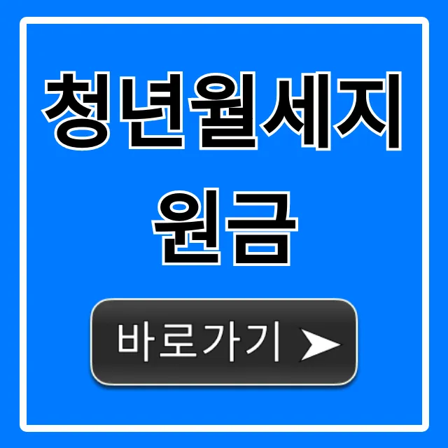 청년월세지원금 2024 신청 방법 및 자격 조건 총정리 청년월세지원금 2024 신청 방법 및 자격 조건 총정리