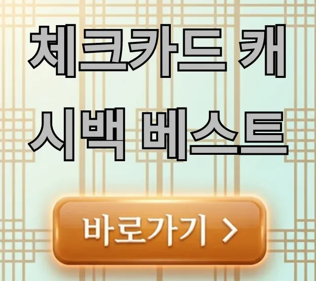 체크카드 캐시백 베스트 2024 혜택 총정리 체크카드 캐시백 베스트 2024 혜택 총정리