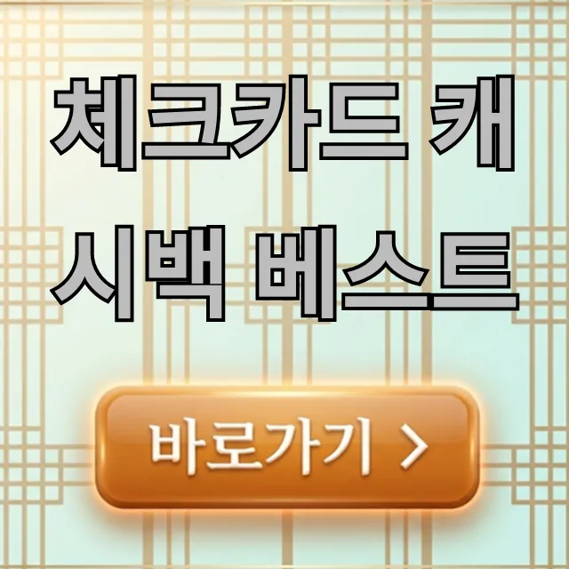 체크카드 캐시백 베스트 2024 혜택 총정리 체크카드 캐시백 베스트 2024 혜택 총정리
