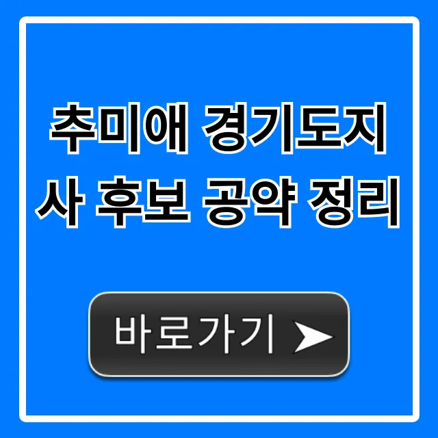 추미애 경기도지사 후보 공약 정리: 핵심 정책 총정리