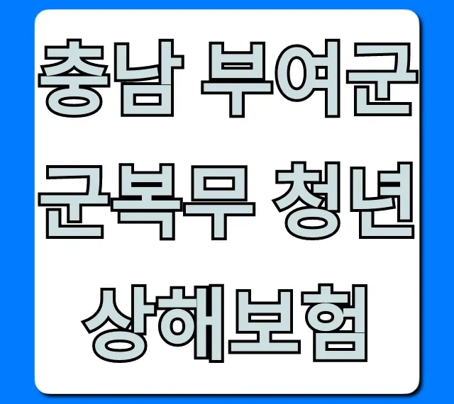 충남 부여군 군복무 청년 상해보험 혜택 신청 총정리 충남 부여군 군복무 청년 상해보험 혜택 신청 총정리