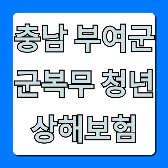 충남 부여군 군복무 청년 상해보험 혜택 신청 총정리