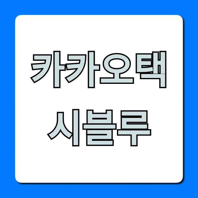 카카오택시블루 완벽 가이드! 요금 장점 총정리