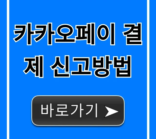 카카오페이 결제 신고방법, 사기/오류 즉시 해결 총정리