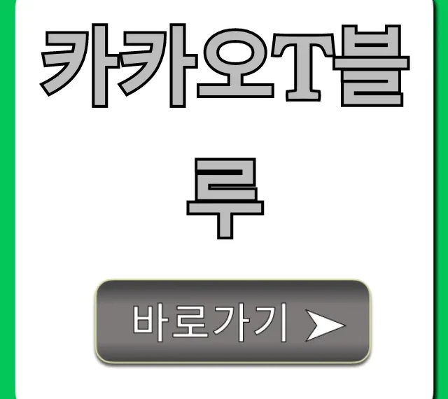 카카오T블루 요금 장점 솔직 후기 카카오T블루 요금 장점 솔직 후기