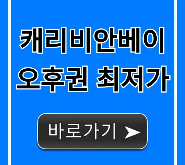 캐리비안베이 오후권 최저가 할인 총정리