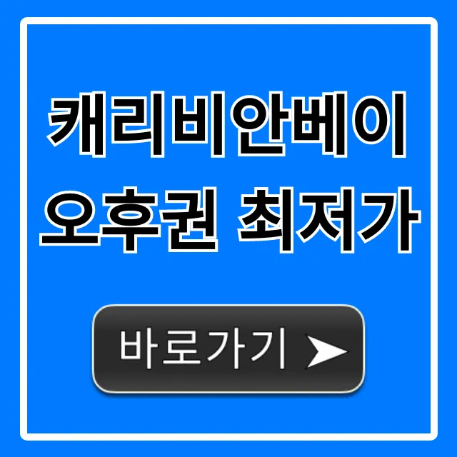 캐리비안베이 오후권 최저가 할인 총정리 캐리비안베이 오후권 최저가 할인 총정리