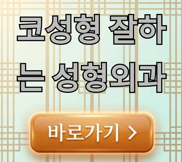 코성형 잘하는 성형외과 실패 없이 선택 꿀팁 코성형 잘하는 성형외과 실패 없이 선택 꿀팁