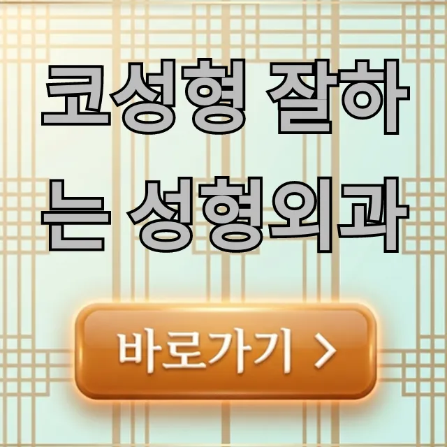 코성형 잘하는 성형외과 실패 없이 선택 꿀팁