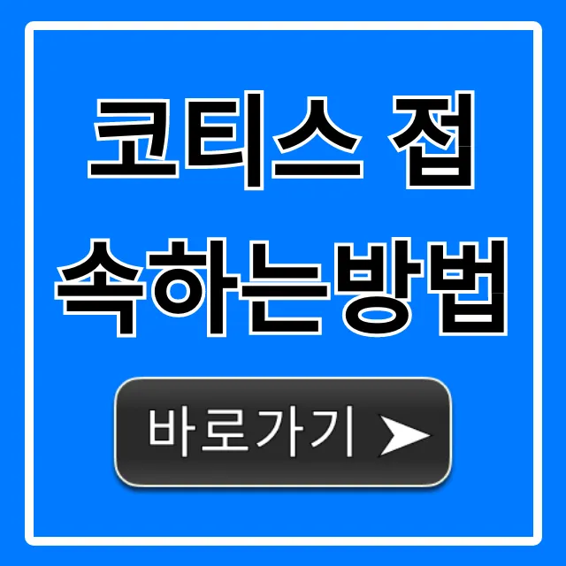 코티스 접속하는방법 쉽고 빠르게! 총정리 꿀팁