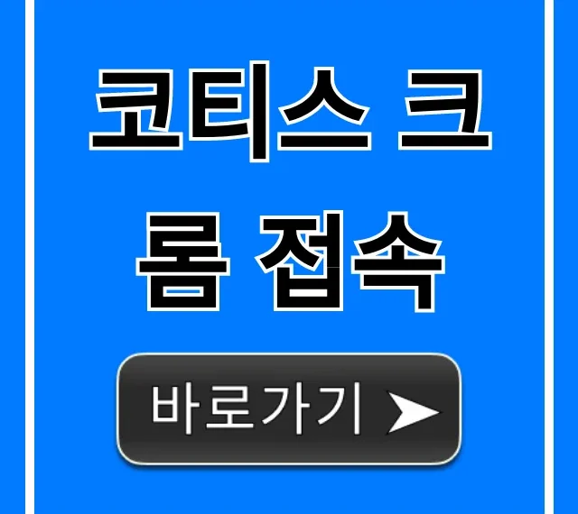 코티스 크롬 접속 쉬운 방법! 오류 해결 총정리