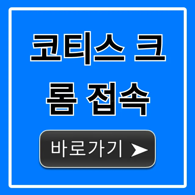 코티스 크롬 접속 쉬운 방법! 오류 해결 총정리