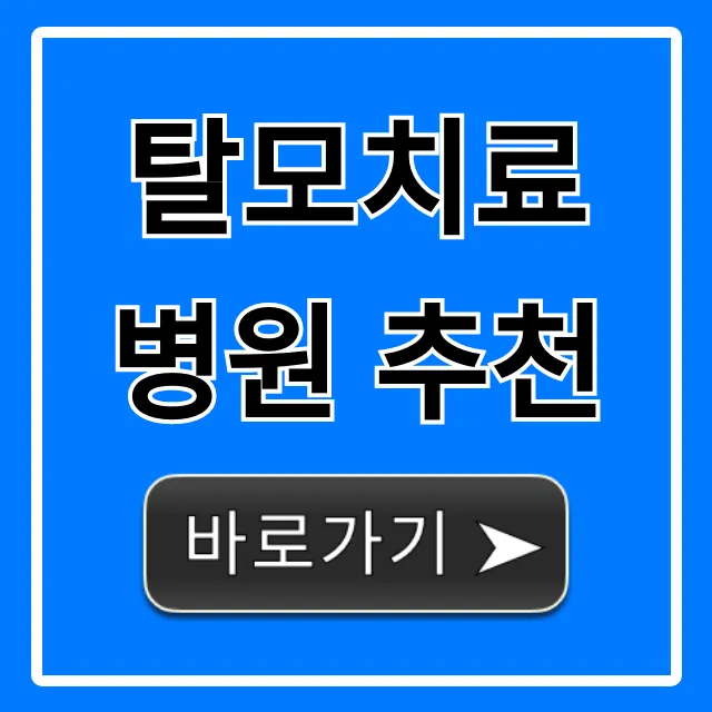 탈모치료 병원 추천, 가격부터 후기까지 총정리 탈모치료 병원 추천, 가격부터 후기까지 총정리