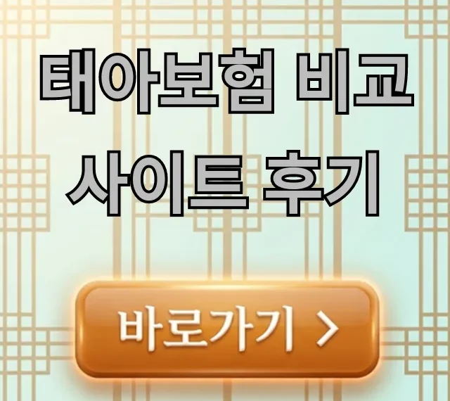 태아보험 비교사이트 후기, 가성비 끝판왕 가입법 태아보험 비교사이트 후기, 가성비 끝판왕 가입법