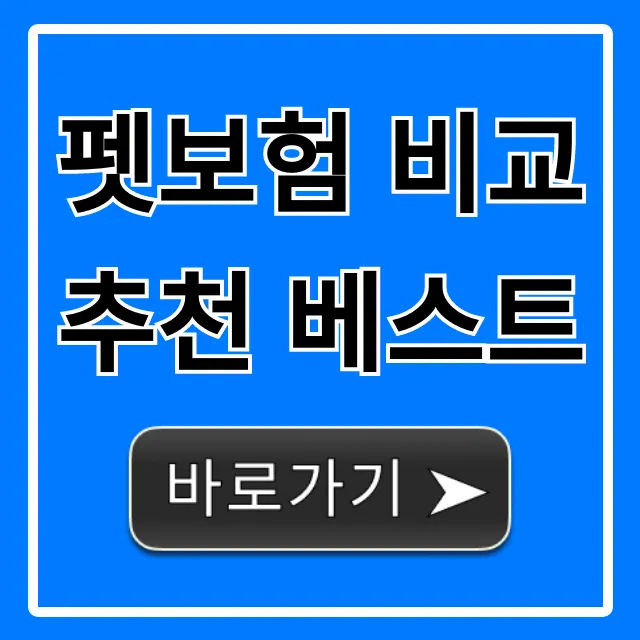 펫보험 비교 추천 베스트: 2024년 최신 완벽 가이드 펫보험 비교 추천 베스트: 2024년 최신 완벽 가이드