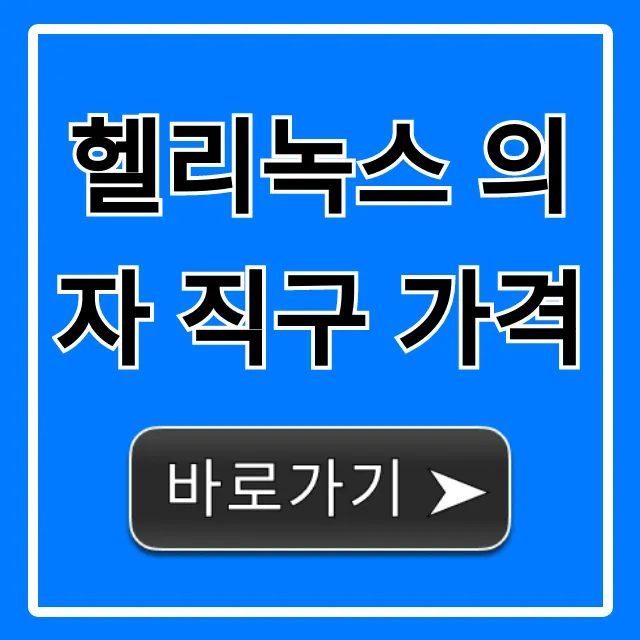 헬리녹스 의자 직구 가격, 최저가 구매 꿀팁 총정리