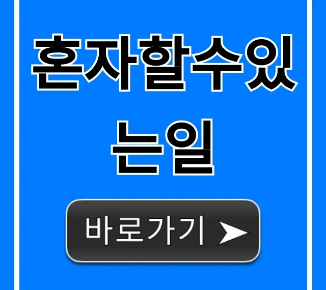혼자할수있는일: 집에서 즐기는 꿀팁 총정리