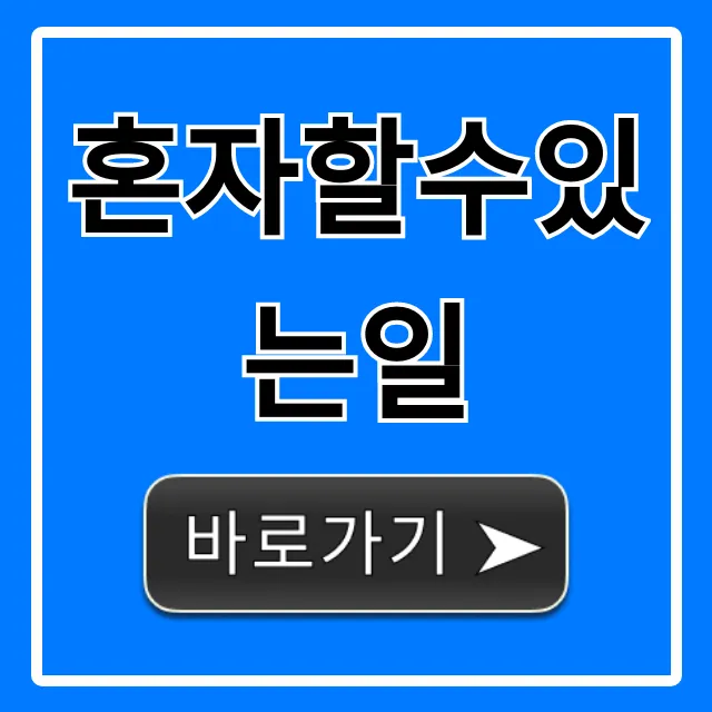 혼자할수있는일: 집에서 즐기는 꿀팁 총정리