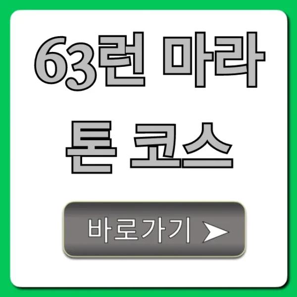 63런 마라톤 코스 상세 분석 & 완주 꿀팁