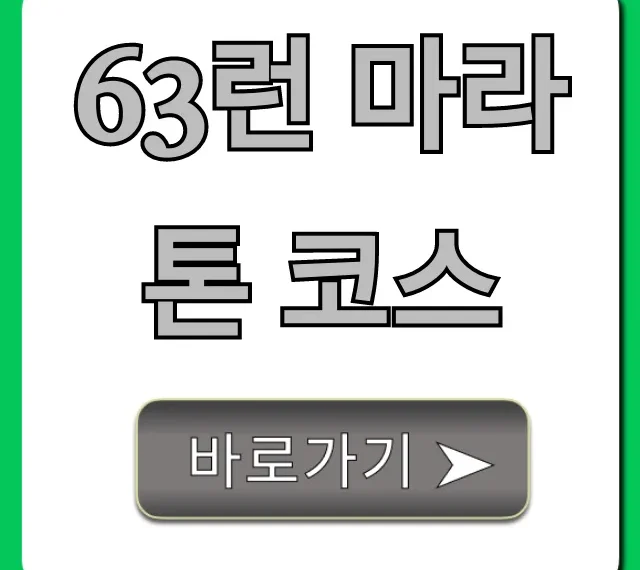 63런 마라톤 코스 상세 분석 & 완주 꿀팁 63런 마라톤 코스 상세 분석 & 완주 꿀팁