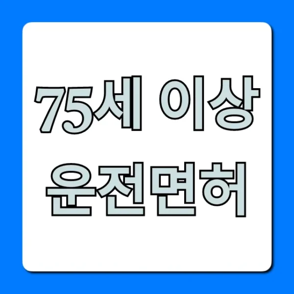 75세 이상 운전면허 갱신 방법과 꿀팁
