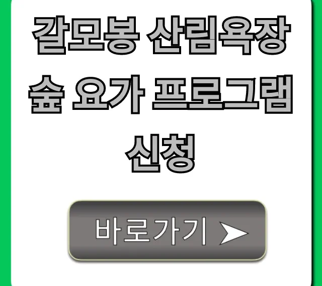 갈모봉 산림욕장 숲 요가 프로그램 신청 완벽 가이드