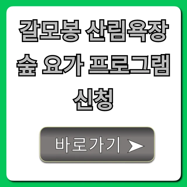 갈모봉 산림욕장 숲 요가 프로그램 신청: 완벽 가이드