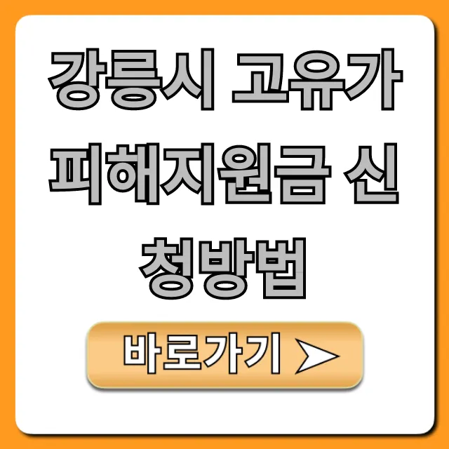 강릉시 고유가 피해지원금 신청방법 및 대상 완벽 정리
