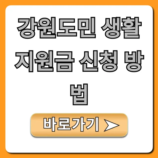 강원도민 생활 지원금 신청 방법 꿀팁! 대상 및 기간