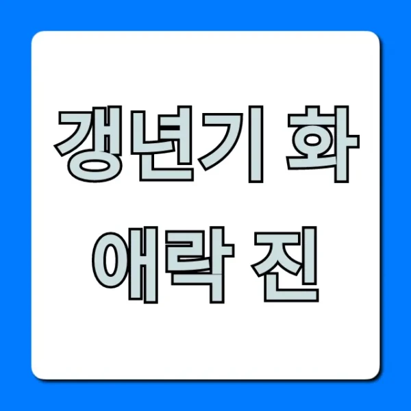 갱년기 화애락 진 내돈내산 후기! 효능 총정리
