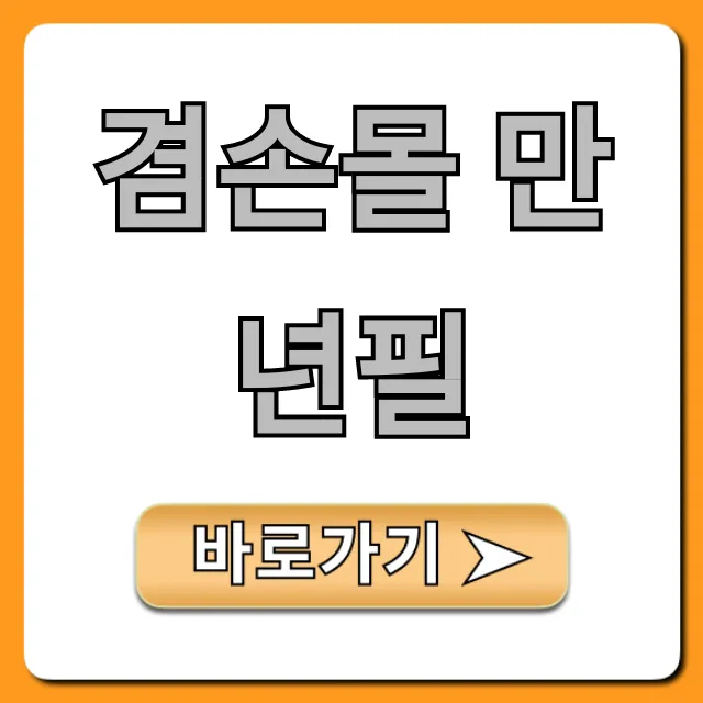 겸손몰 만년필 솔직 후기 & 가격 총정리