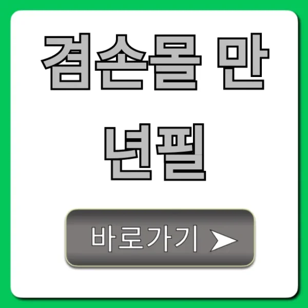 겸손몰 만년필 입문자 필수! 가격부터 후기까지 총정리