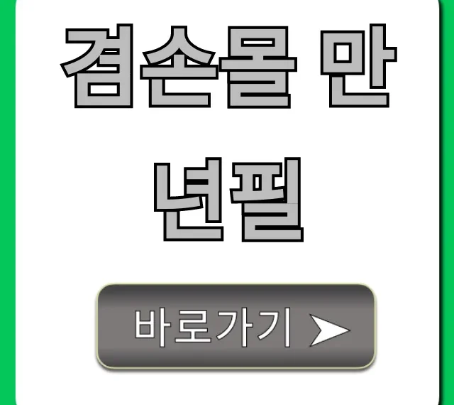 겸손몰 만년필 초보자 추천 후기 총정리